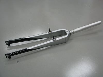 Advanced Group Carbon Fork